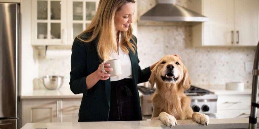 Dog with owner with motion sensor in background